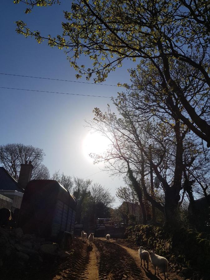 Shadow River Farm Annascaul Exterior photo